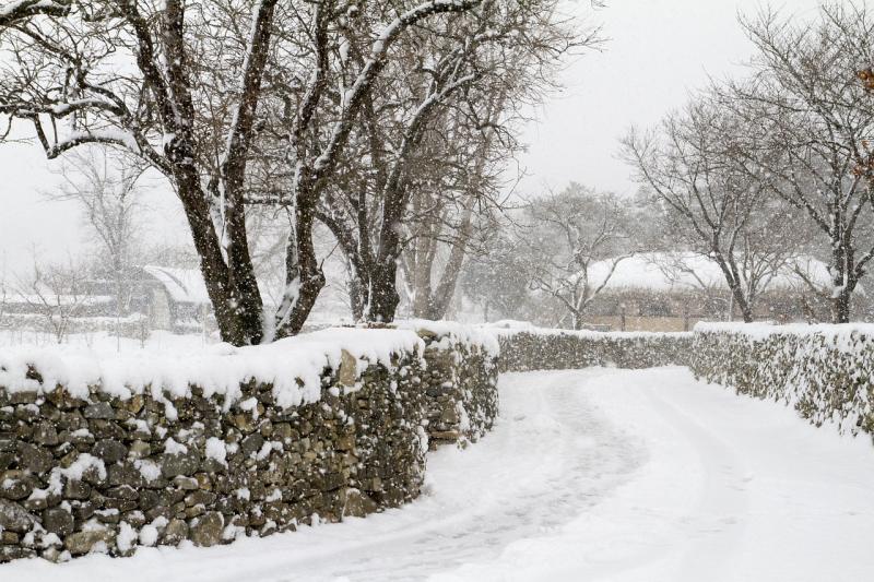 Met Éireann extends cold weather warning for Limerick amid snow threat for four counties