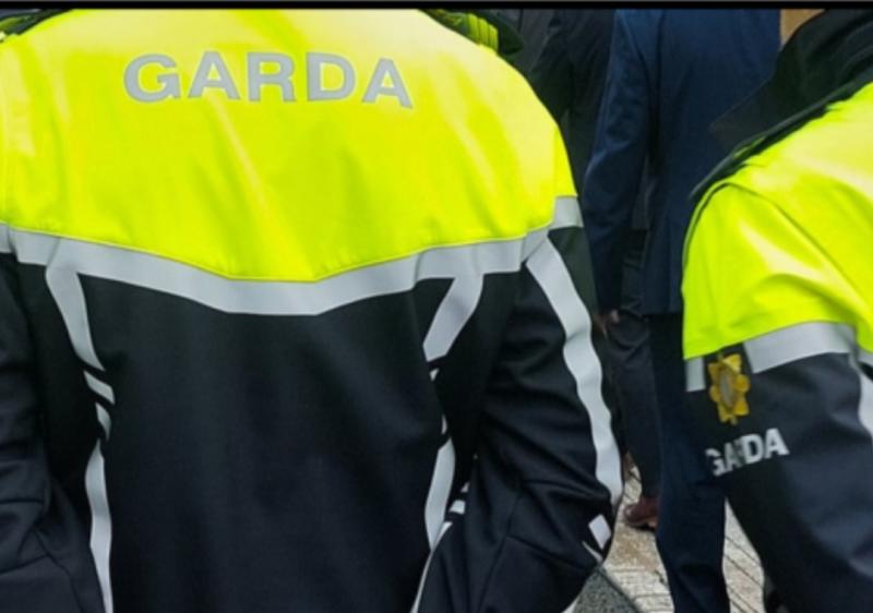 Garda&iacute; issue appeal after two men are disturbed while breaking into home in Shannon