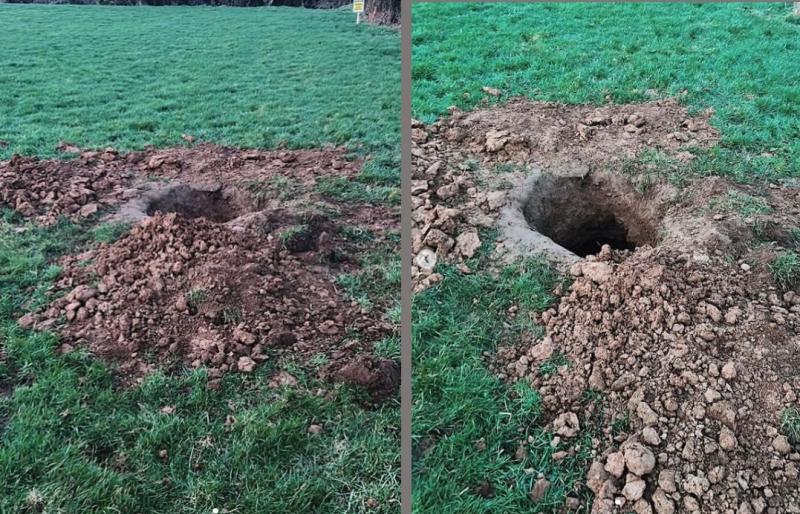 Gardai appeal for witnesses following 'Badger baiting' incident close to Limerick village