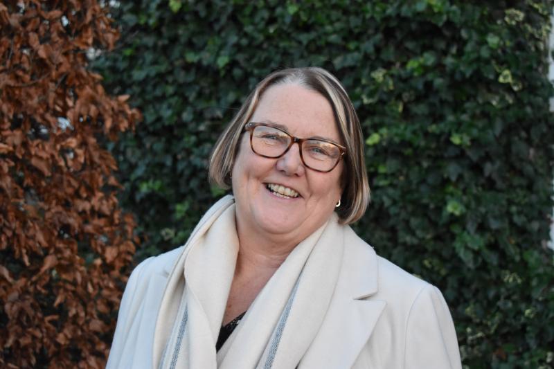 Limerick academic secures top appointment