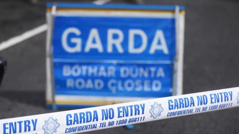 Witnesses sought after elderly pedestrian dies in Dublin road crash