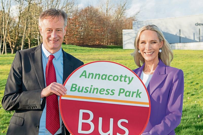 Business park left out of Limerick transport strategy