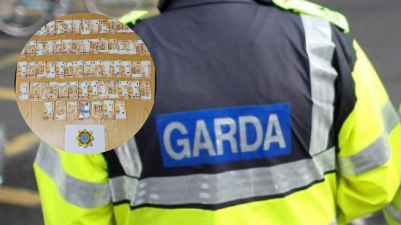 Almost 200 rounds of ammunition and 'substantial' sum of cash found by Gardaí in Cork homes