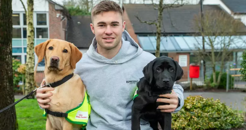 'It can change lives' - Irish Guide Dogs for the Blind are looking for puppy raisers