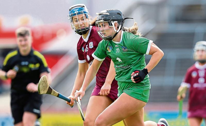 Limerick camogie team to face Kerry in Division 1 of Very National League named