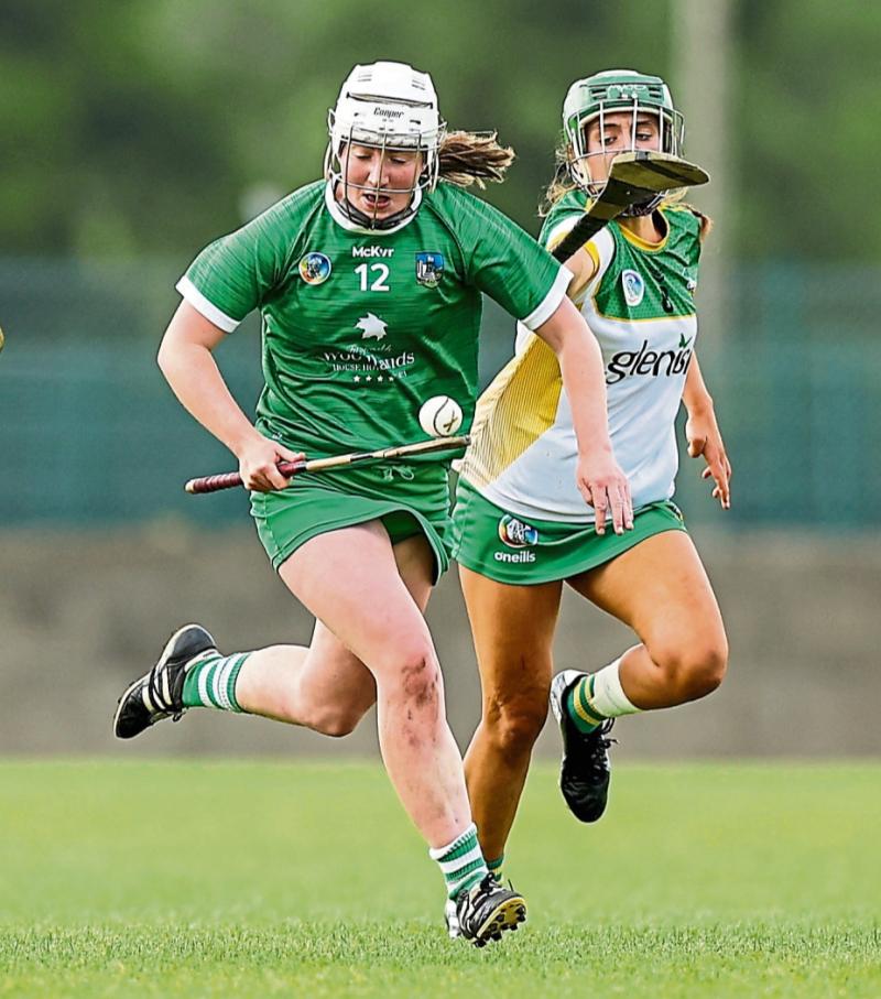 Limerick open camogie league with resounding wins over Kerry and Down