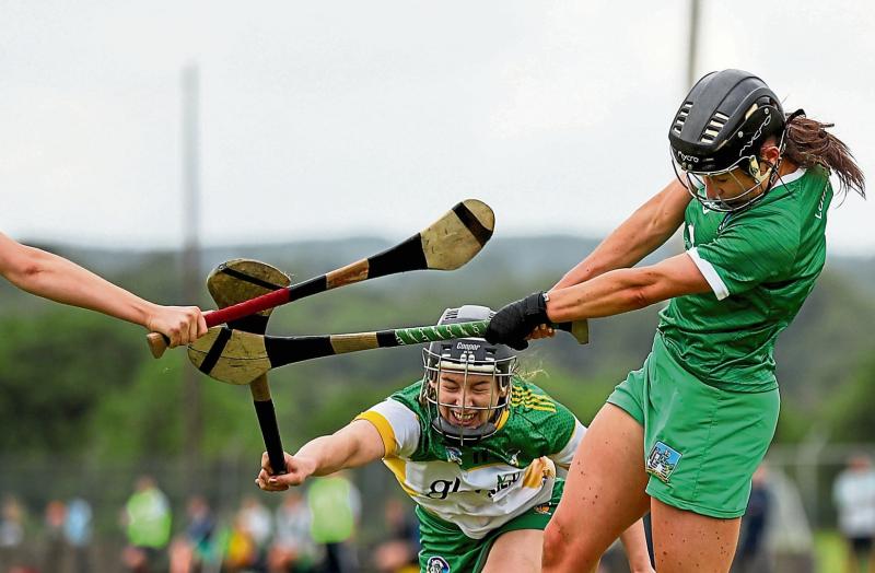 Limerick senior camogie side to face Down is named