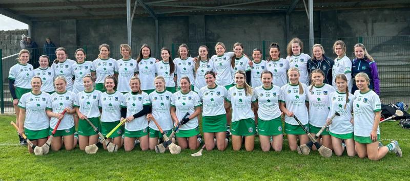 Limerick ease to second runaway win in Division 1B of Very Camogie League