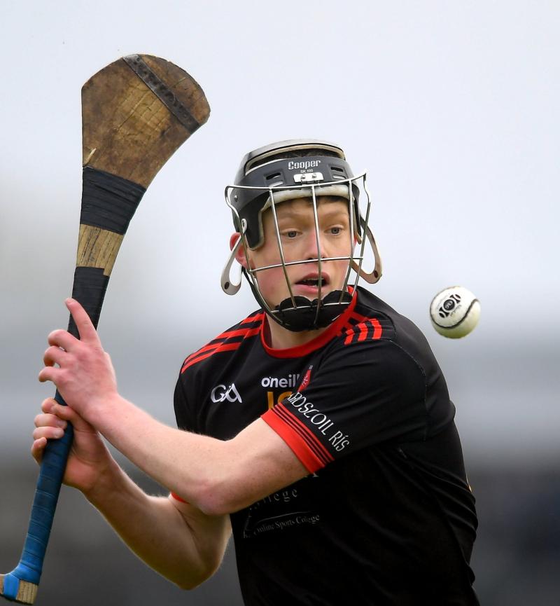 Ardscoil Ris croke cup semi-final match report 