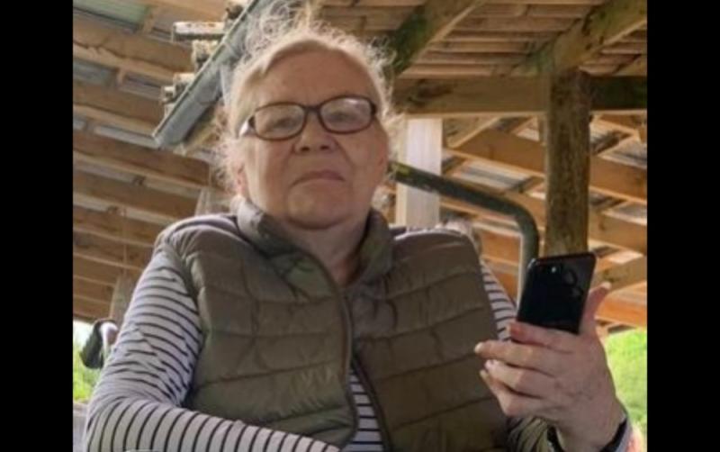 Gardaí conclude search for missing 65-year-old woman