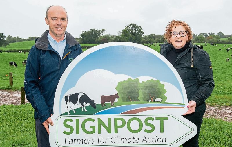 New programme is blueprint to aid profit and sustainability