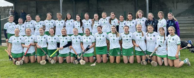 Limerick seniors suffer first camogie league defeat as Dublin prevail