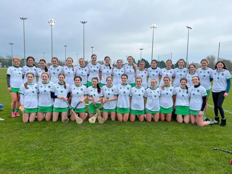 Limerick minor camogie squad continue success in A Shield All-Ireland championship 