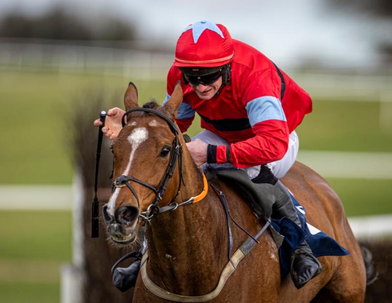 Knocklong success among highlights for big week for Limerick racing connections