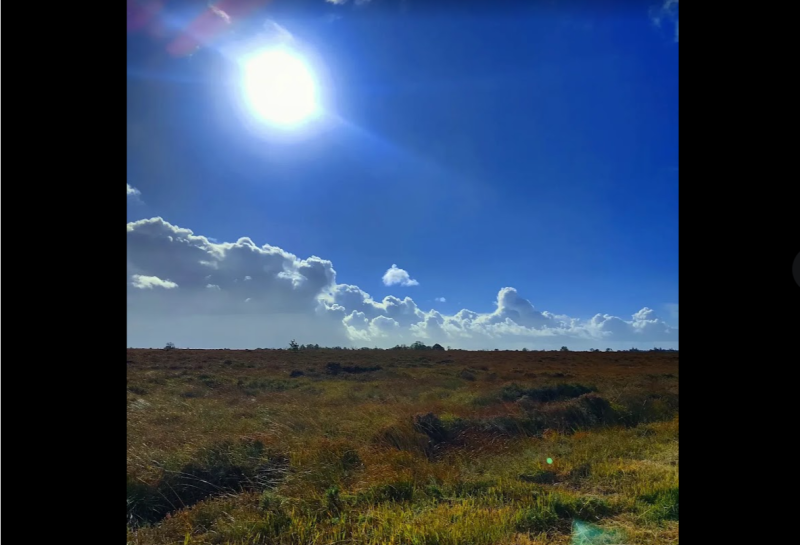 Nature-lovers urged to visit this Laois bog during the long weekend!