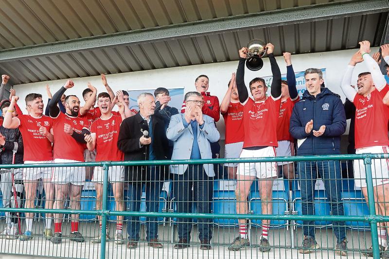 Cosgrave savours All-Ireland win after 28 years of adult hurling