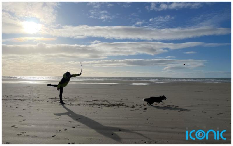 Reduce your stress and anxiety by spending time with your dog