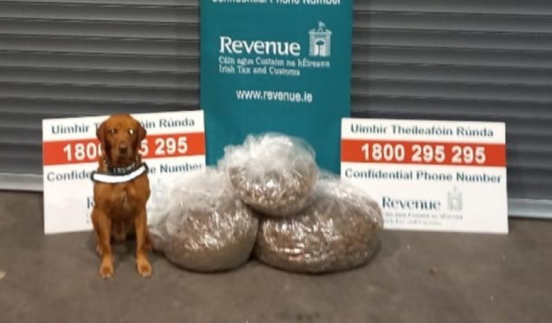 Cannabis in parcels destined for Louth sniffed out by detector dog James