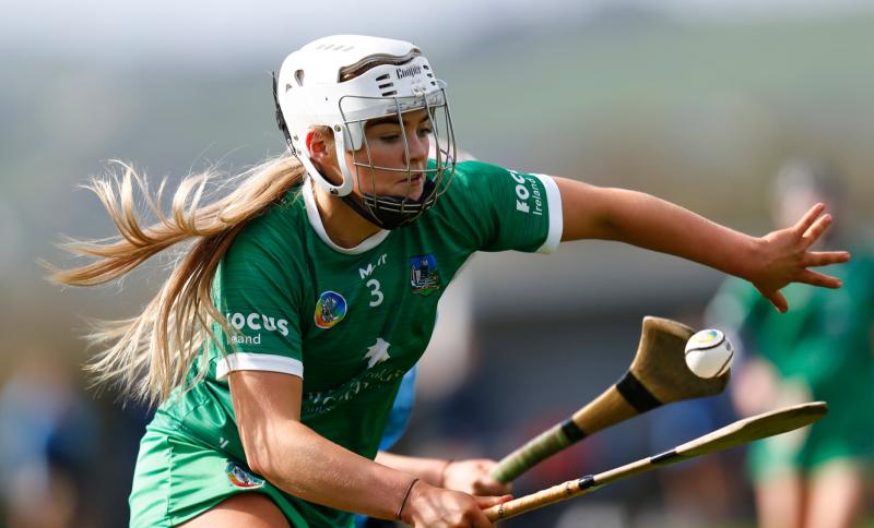 Limerick juniors lose out to Dublin in Very Camogie League Division 3B final