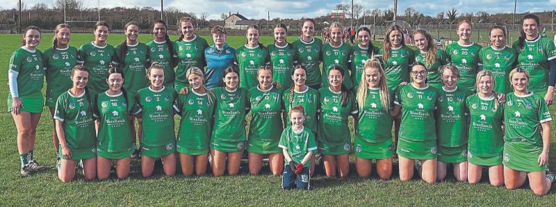 Limerick junior camogie side to face Dublin in Division 3B League final named
