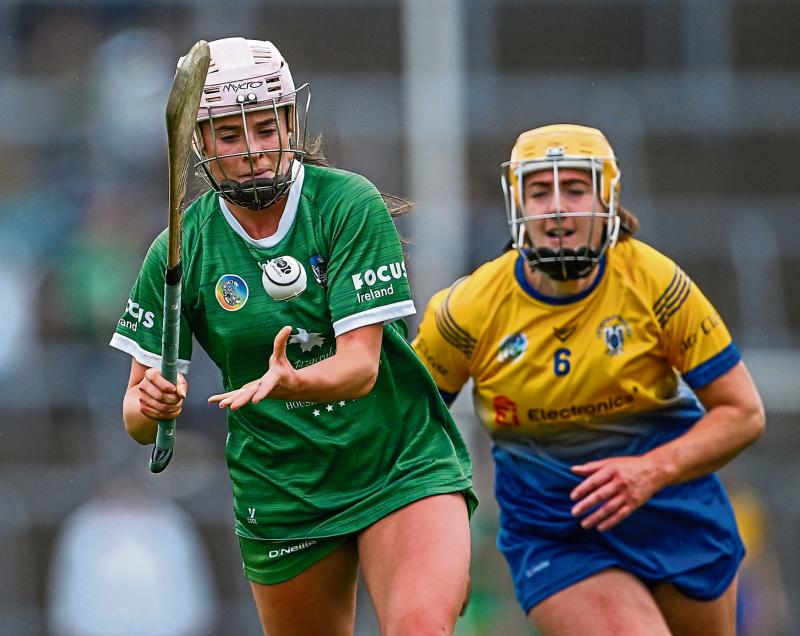 Limerick senior camogie side to face Wexford in Division 1B named