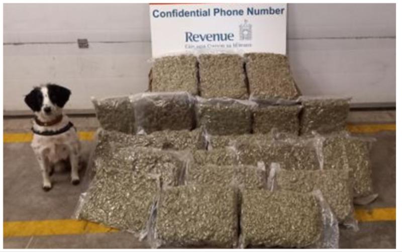 Sniffer dogs help find cannabis and cigarettes valued at nearly €1million