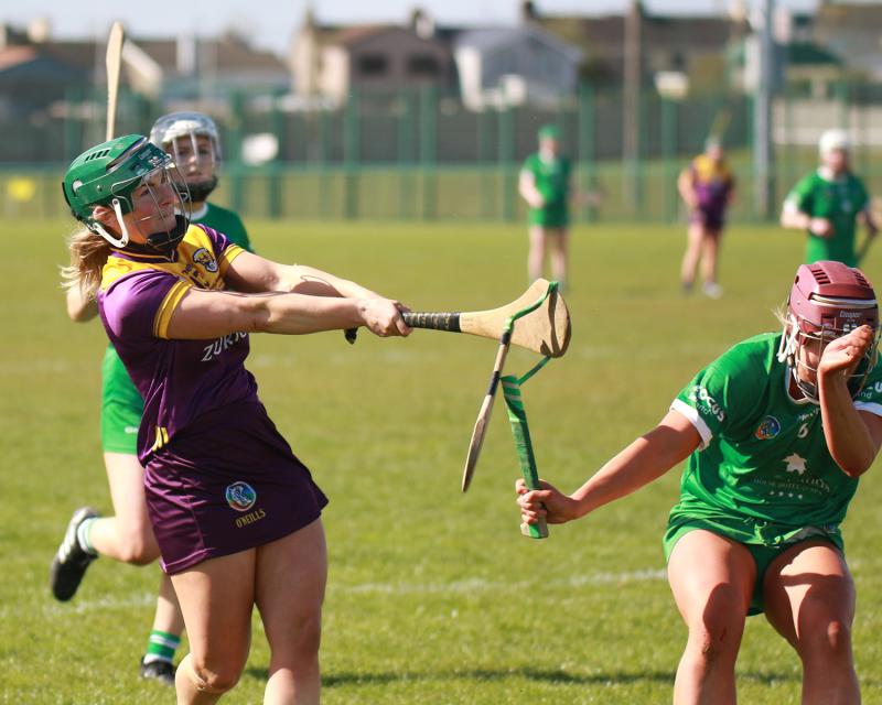 Limerick beat top of the table Wexford in Very Camogie National League 