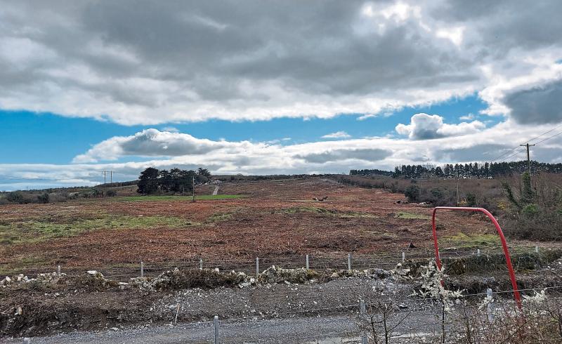 Investigation launched over work carried out at Limerick conservation site