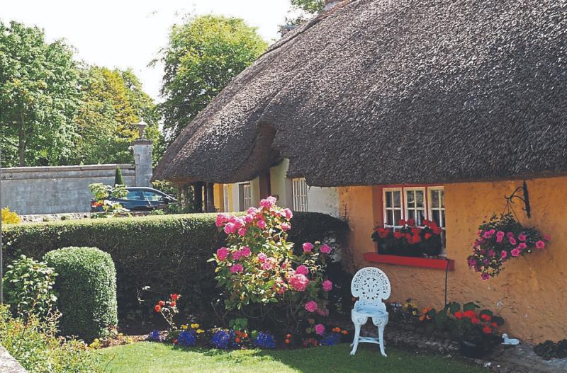 Website promoting Adare village marks its 22nd anniversary