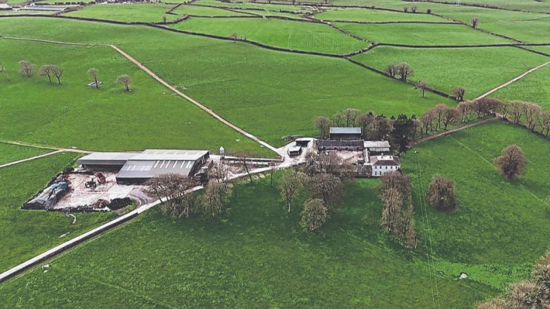 Multi-million euro Limerick dairy farm is up for auction