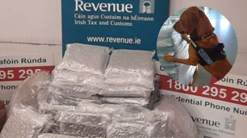 Illegal drugs worth almost €500k seized by Revenue with help of detector dog James