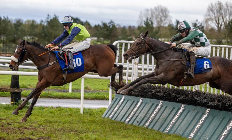 Ballingarry-trained winner on student's day at Limerick Racecourse