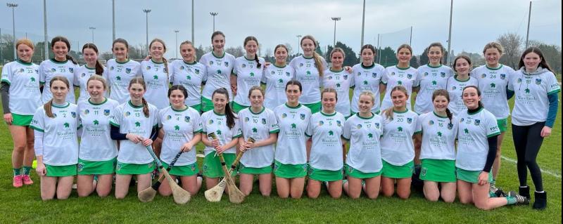 Limerick minor camogie suffer semi-final defeat to Dublin in All Ireland Shield 