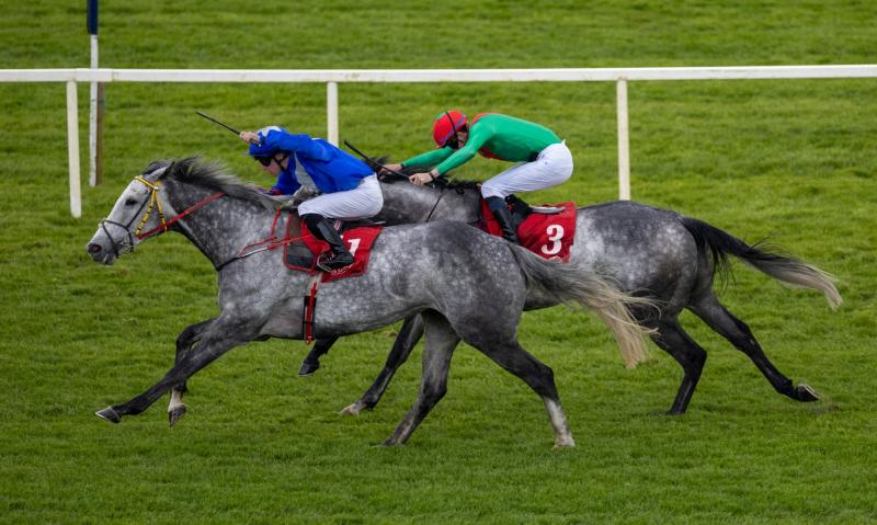 Limerick racing round-up ahead of big Punchestown Festival