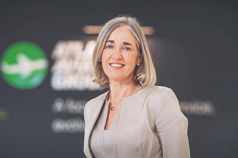 Shannon firm flies high with new jobs 