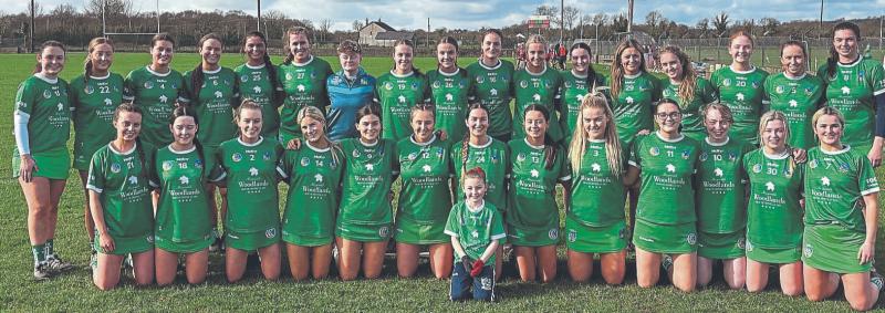 Limerick face Cork in Munster Junior Camogie final on Bank Holiday Monday