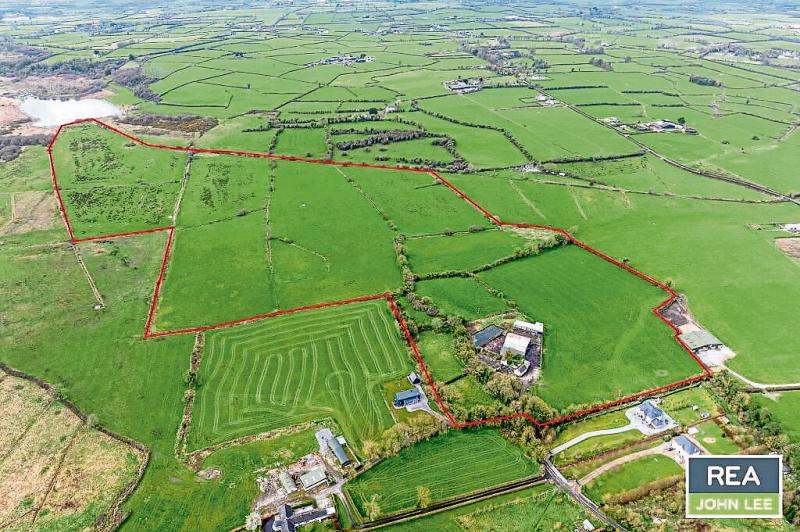 Limerick farms sell above guide price at auction
