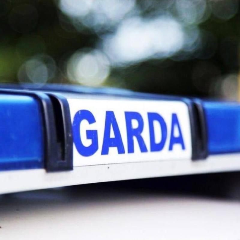 Thousands of euro of drugs seized in Limerick estate