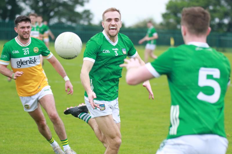 Resilient Limerick see off Offaly in precious Tailteann Cup win
