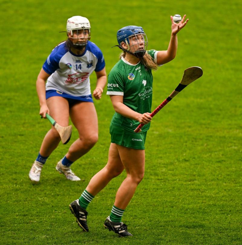Limerick senior camogie side to face Kilkenny in All-Ireland championship named