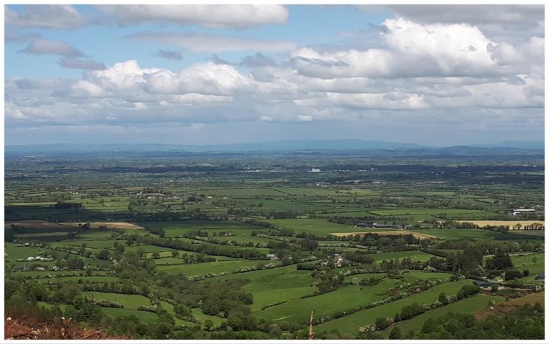 Limerick ICMSA say concrete inflation and Mica levy pushing TAMS costings into 'fantasy land'