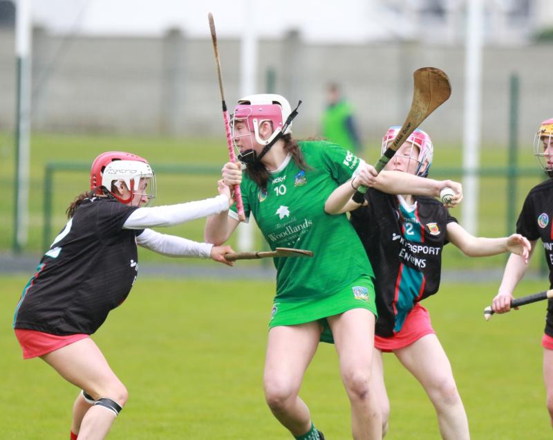 Limerick junior camogie team register comprehensive victory over Mayo in All-Ireland Championship