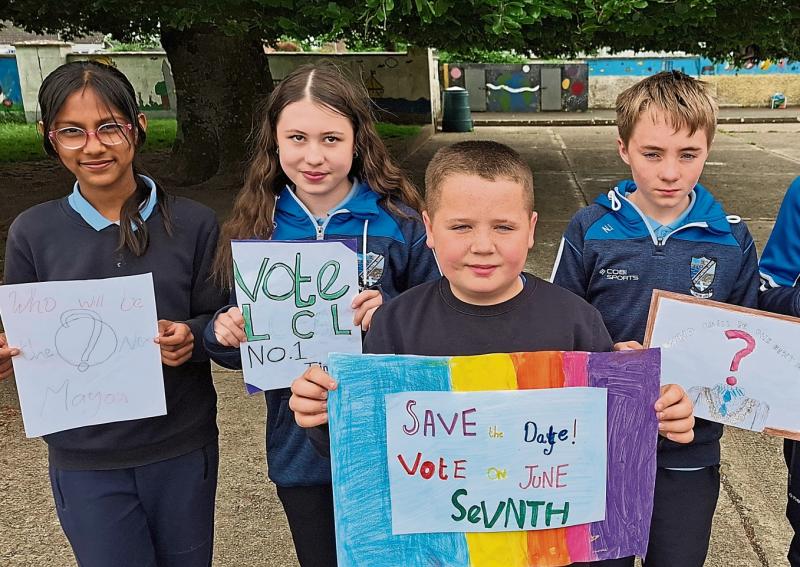 Elections 2024: 11 candidates look to make their mark in Adare-Rathkeale