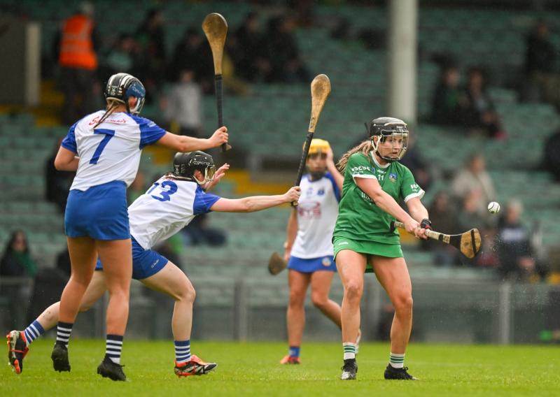 Limerick senior camogie side to face Waterford in All-Ireland championship named