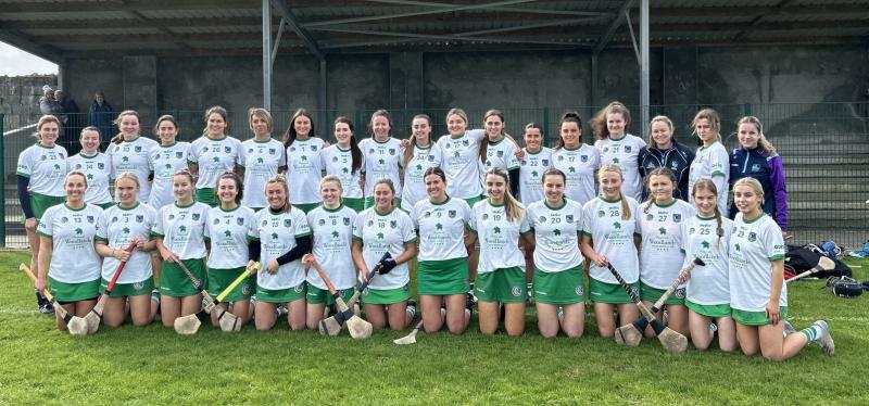 Limerick suffer heavy defeat to Waterford in All-Ireland senior camogie championship