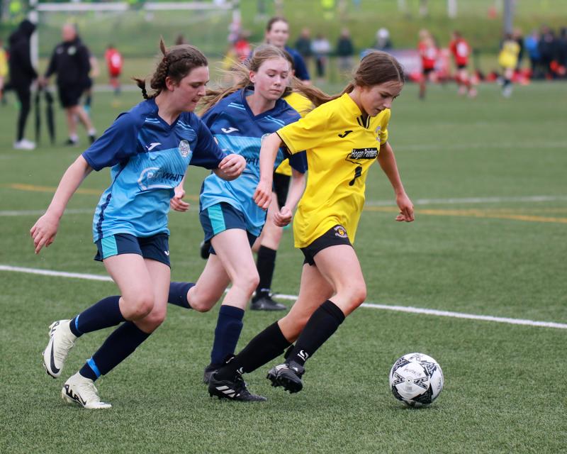 Limerick teams gear up for Gaynor Cup action 