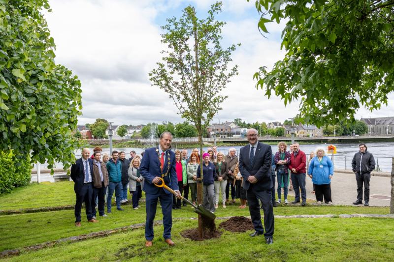Council tree planting