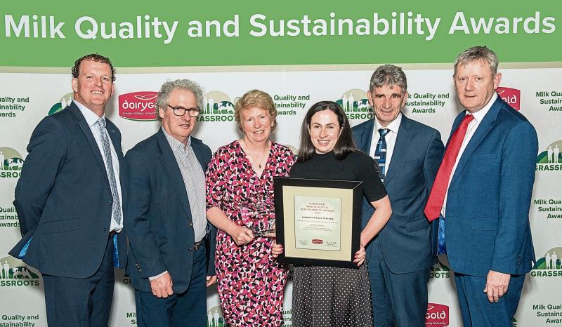 &lsquo;Weeks&rsquo;, months, years of hard work in Limerick recognised