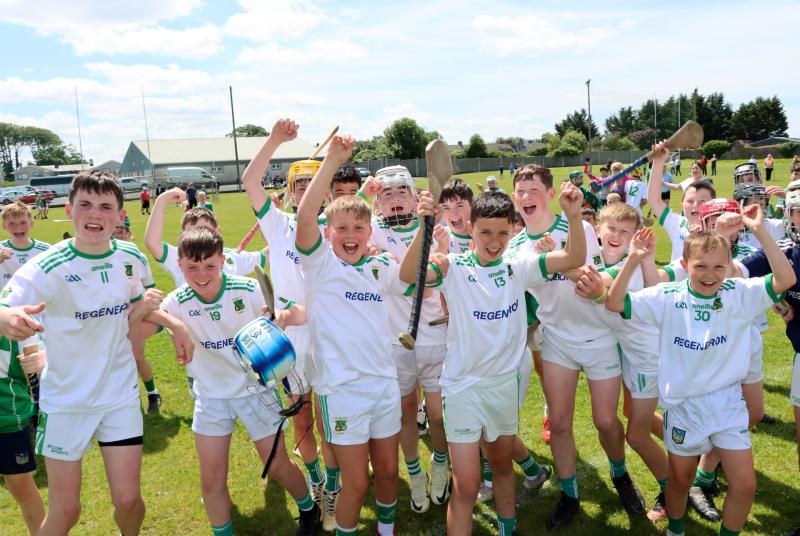 St Joseph’s National School, Ballybrown capture Limerick Leader Cup 