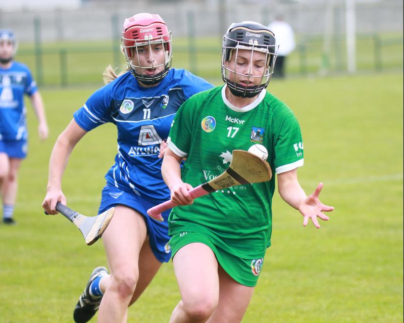 Limerick junior camogie side suffers championship defeat to Laois